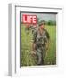 Soldiers Walking Through Grass in Vietnam, June 12, 1964-Larry Burrows-Framed Photographic Print