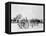 Soldiers with Cannon, Civil War-Lantern Press-Framed Stretched Canvas