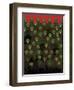 Soldiers-Teofilo Olivieri-Framed Giclee Print