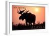 Soldotna, Alaska - Moose Silhouette-Lantern Press-Framed Art Print