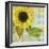 Soleil III-Color Bakery-Framed Giclee Print