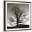 Solemn Tree-Erin Clark-Framed Giclee Print