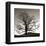 Solemn Tree-Erin Clark-Framed Art Print