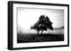 Solemn Tree-PhotoINC Studio-Framed Art Print