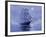 Solent'- Out of the Nightmist, 2009-James Brereton-Framed Giclee Print