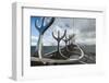 Solfar (Sun Voyager) Sculpture by Jon Gunnar Arnason in Reykjavik, Iceland, Polar Regions-Michael Snell-Framed Photographic Print