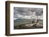 Solfar (Sun Voyager) Sculpture by Jon Gunnar Arnason in Reykjavik, Iceland, Polar Regions-Michael Snell-Framed Photographic Print