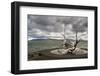 Solfar (Sun Voyager) Sculpture by Jon Gunnar Arnason in Reykjavik, Iceland, Polar Regions-Michael Snell-Framed Photographic Print