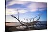 Solfar (Sun Voyager)-Christian Kober-Stretched Canvas