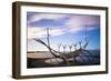 Solfar (Sun Voyager)-Christian Kober-Framed Photographic Print