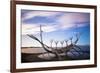 Solfar (Sun Voyager)-Christian Kober-Framed Photographic Print