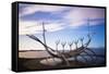 Solfar (Sun Voyager)-Christian Kober-Framed Stretched Canvas