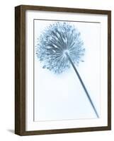 Solidarity 2-Doug Chinnery-Framed Photographic Print