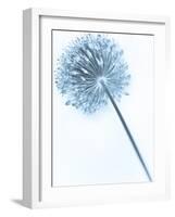 Solidarity 2-Doug Chinnery-Framed Photographic Print