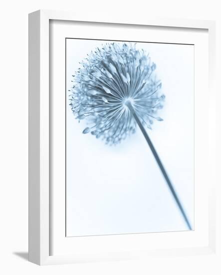 Solidarity 2-Doug Chinnery-Framed Photographic Print
