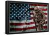 Solider Statue and American Flag by Identical Exposure-null-Framed Poster