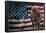 Solider Statue and American Flag by Identical Exposure-null-Framed Poster