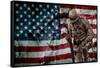 Solider Statue and American Flag by Identical Exposure-null-Framed Stretched Canvas