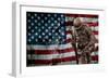 Solider Statue and American Flag by Identical Exposure-null-Framed Photo