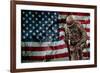 Solider Statue and American Flag by Identical Exposure-null-Framed Photo