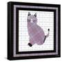 Solitaire-David Sheskin-Framed Stretched Canvas