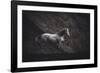 Solitare-Heike Willers-Framed Photographic Print