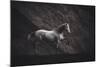 Solitare-Heike Willers-Mounted Photographic Print