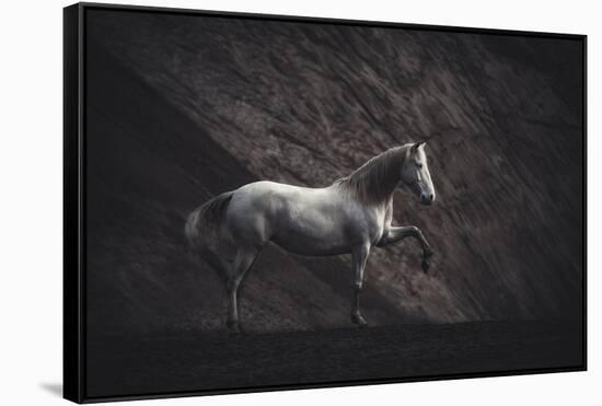 Solitare-Heike Willers-Framed Stretched Canvas