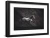 Solitare-Heike Willers-Framed Photographic Print