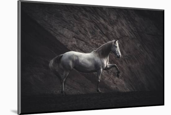 Solitare-Heike Willers-Mounted Photographic Print