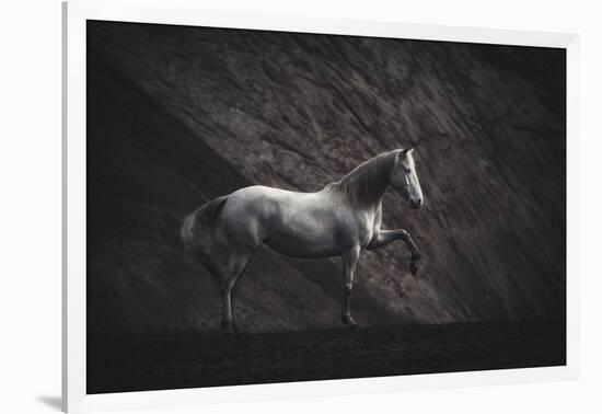 Solitare-Heike Willers-Framed Photographic Print