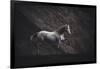 Solitare-Heike Willers-Framed Photographic Print