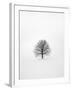 Solitary 1-Design Fabrikken-Framed Photographic Print