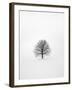 Solitary 1-Design Fabrikken-Framed Photographic Print