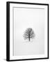 Solitary 1-Design Fabrikken-Framed Photographic Print