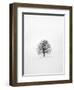 Solitary 1-Design Fabrikken-Framed Photographic Print