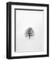 Solitary 1-Design Fabrikken-Framed Photographic Print