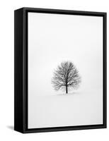 Solitary 1-Design Fabrikken-Framed Stretched Canvas