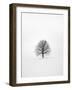 Solitary 1-Design Fabrikken-Framed Photographic Print