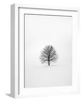 Solitary 1-Design Fabrikken-Framed Photographic Print