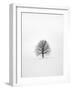 Solitary 1-Design Fabrikken-Framed Photographic Print