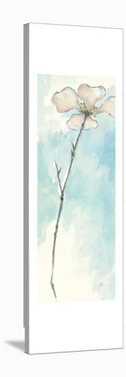 Solitary Dogwood I-Chris Paschke-Stretched Canvas