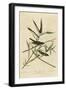 Solitary Flycatcher-null-Framed Giclee Print