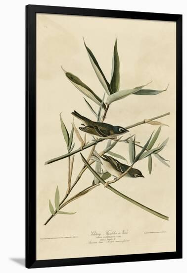 Solitary Flycatcher-null-Framed Giclee Print