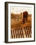 Solitary Light-PH Burchett-Framed Photographic Print