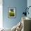 Solitary oak tree stands in field in Surrey-Charles Bowman-Framed Photographic Print displayed on a wall