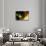 Solitary Radiance-Ursula Abresch-Framed Stretched Canvas displayed on a wall