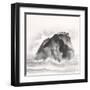 Solitary Rock-Chris Paschke-Framed Art Print