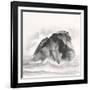 Solitary Rock-Chris Paschke-Framed Art Print