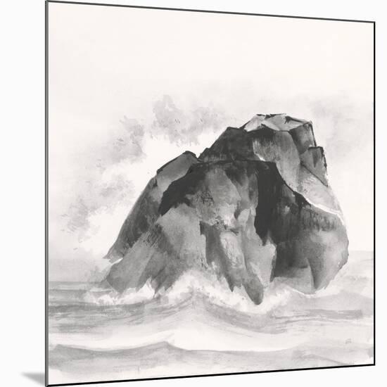 Solitary Rock-Chris Paschke-Mounted Art Print